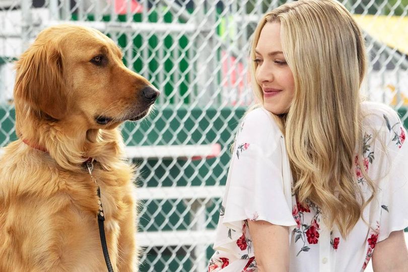 Gilmore Girls and Yellowstone icons' film that made fans 'sob uncontrollably' is now on Netflix
