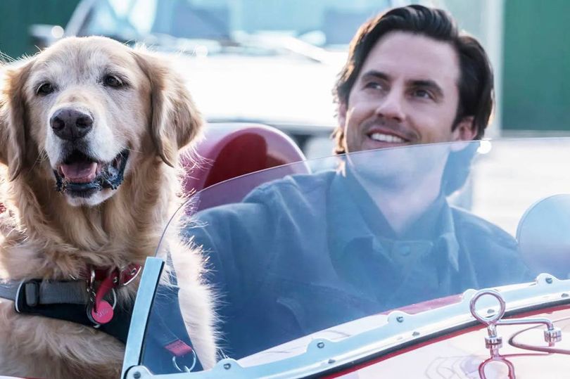 Parker and Milo Ventimiglia