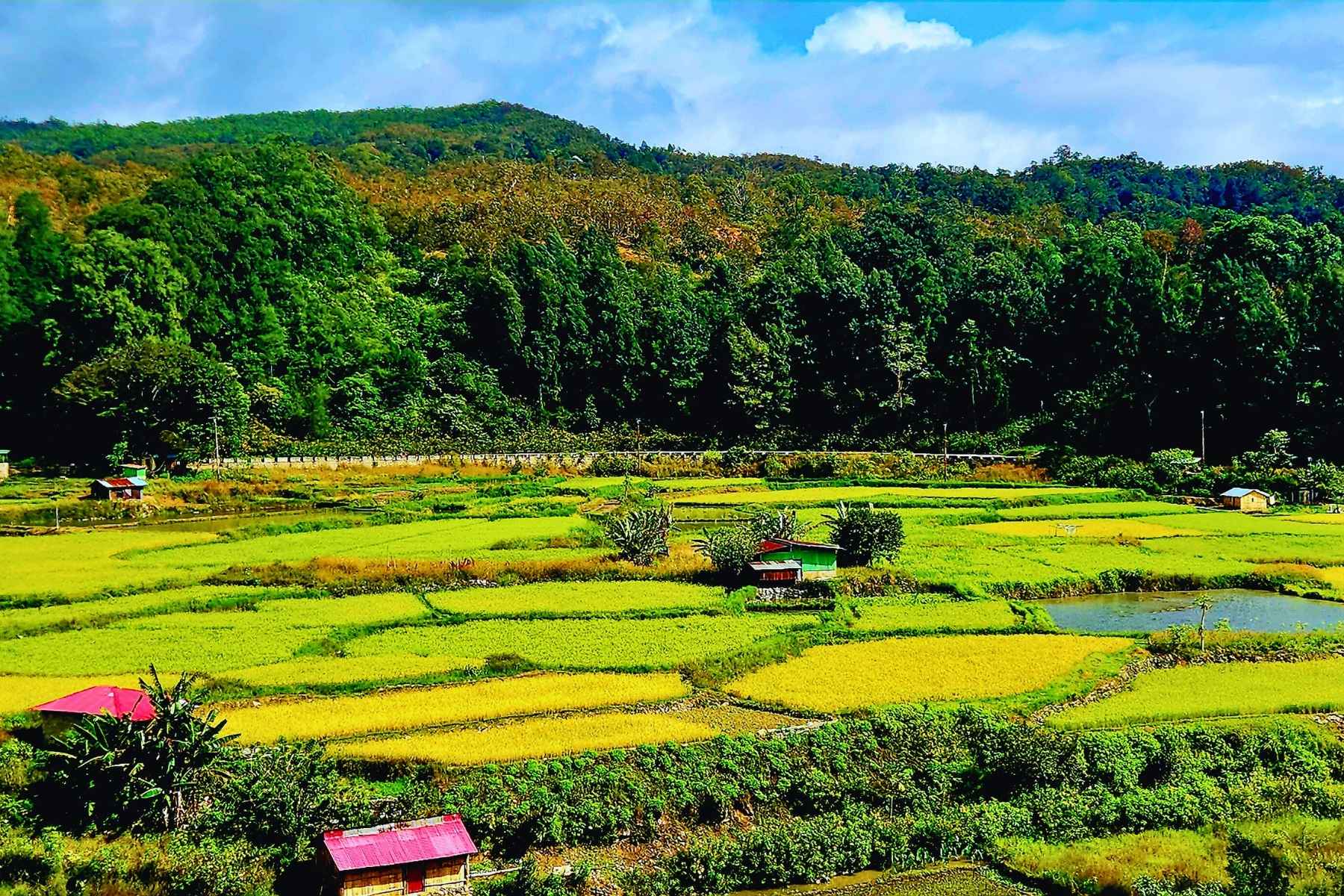 Remote Timor-Leste Dazzles with Natural Wonders and Bright Smiles