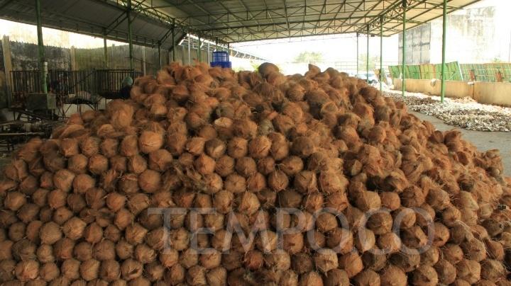 Balai Karantina Sumsel Bantu Ekspor 50 Ton Santan Beku ke Cina