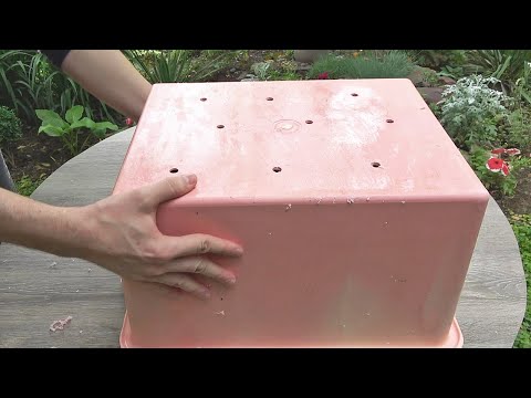 Old container upcycled into DIY craft