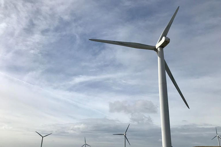 The Campaigners: The Morland Dynasty, Book 14 (English Edition) EBook