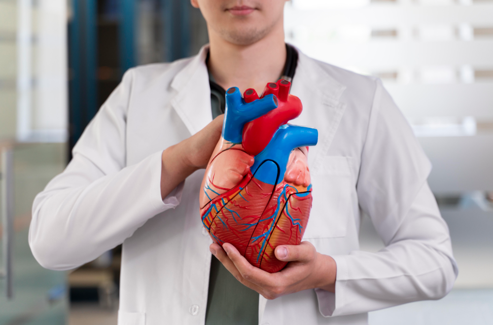 Waspadai! Penyakit Jantung Bisa Ganggu Ginjal, Ini Penjelasan Dokter