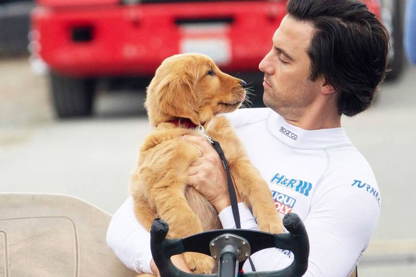 Puppy and Milo Ventimiglia