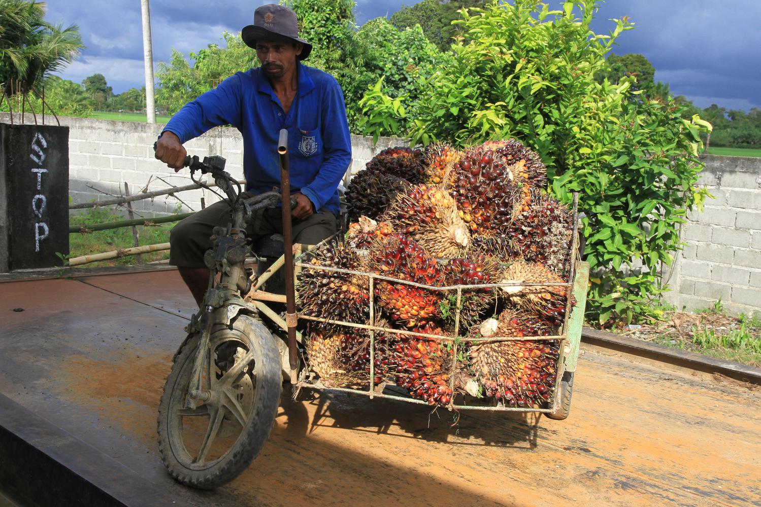 Panel WTO Dukung Kebijakan Biodiesel Indonesia