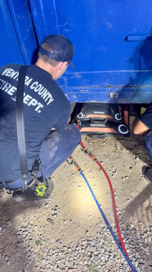 California firefighters free mischievous dog trapped underneath ...