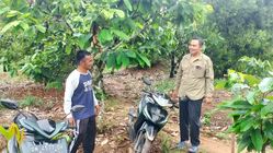 Asisten Ekonomi Tolitoli H. Rustan Rewa Hadirkan 5 Inovasi untuk Kesejahteraan Petani Sulteng
