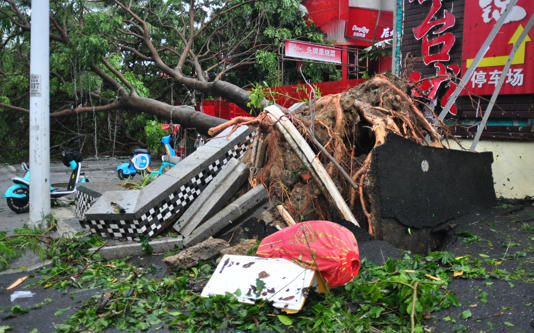 The typhoon uprooted trees in Sanya. Scientists say that rising temperatures are causing more unpredictable weather patterns in the region - Sun Qing/VCG
