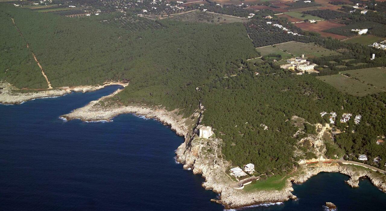 Estensore Del Pene Per Aumentare Le Dimensioni Del Pene - Fast Penis Extender PRO Titanium Versione Estetica