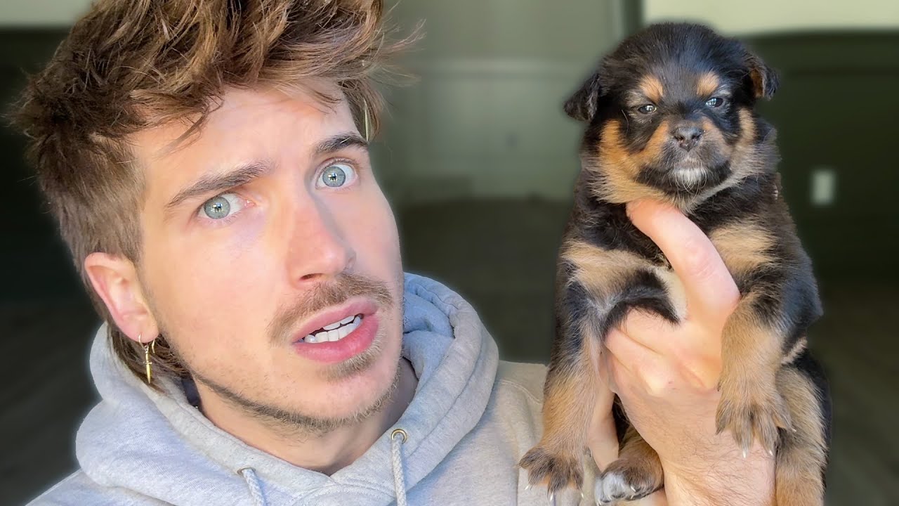 This tiny little one had us worried from the very start