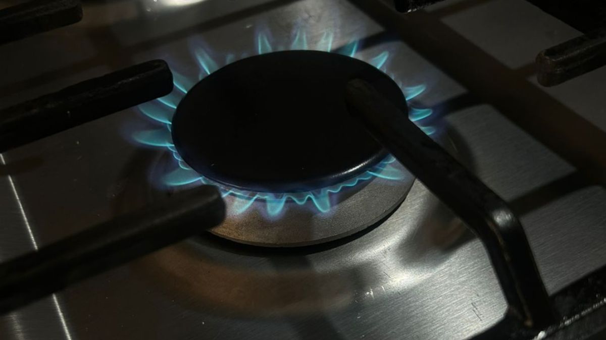 ¿Subió? Estos serán los precios del gas LP del 7 al 13 de diciembre en ...