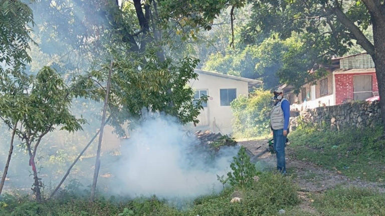 México acumula más de 7 mil casos de dengue y 32 defunciones en 14 estados