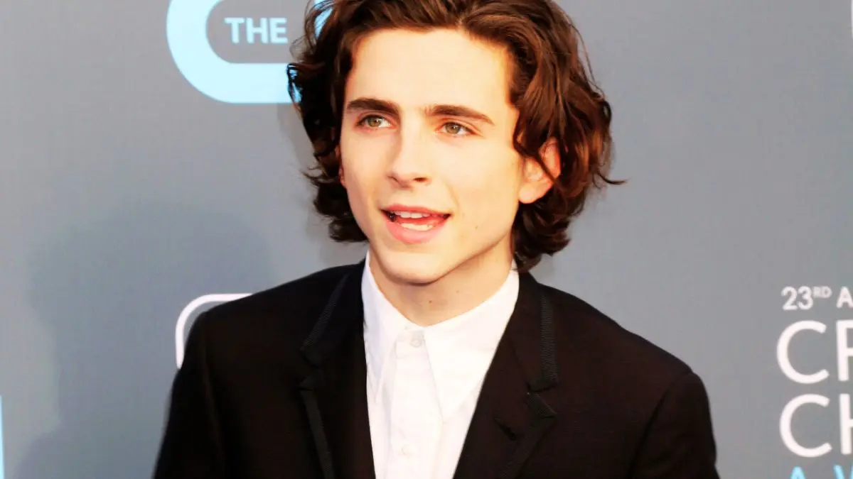 Timothée Chalamet finally shuts down rapper alter-ego rumors in the best possible way<br><br>
