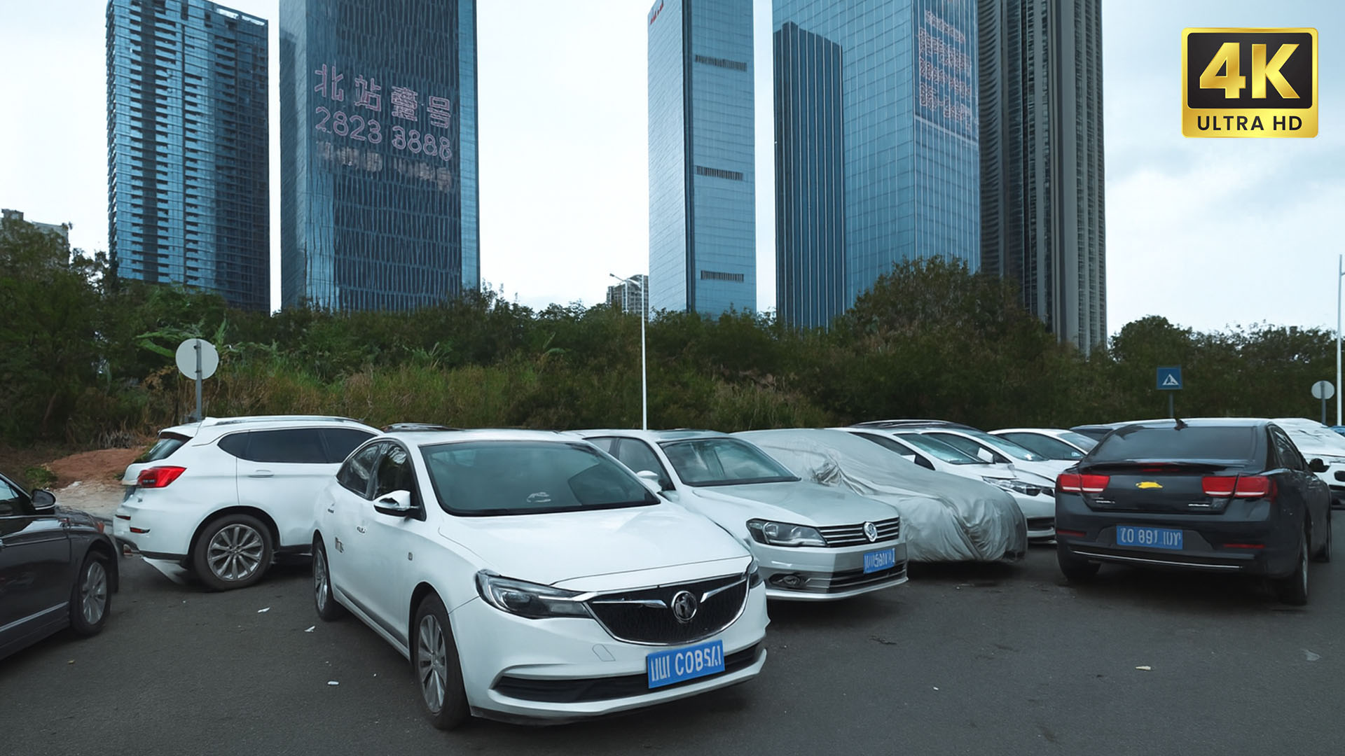 Los Angeles visual data 8