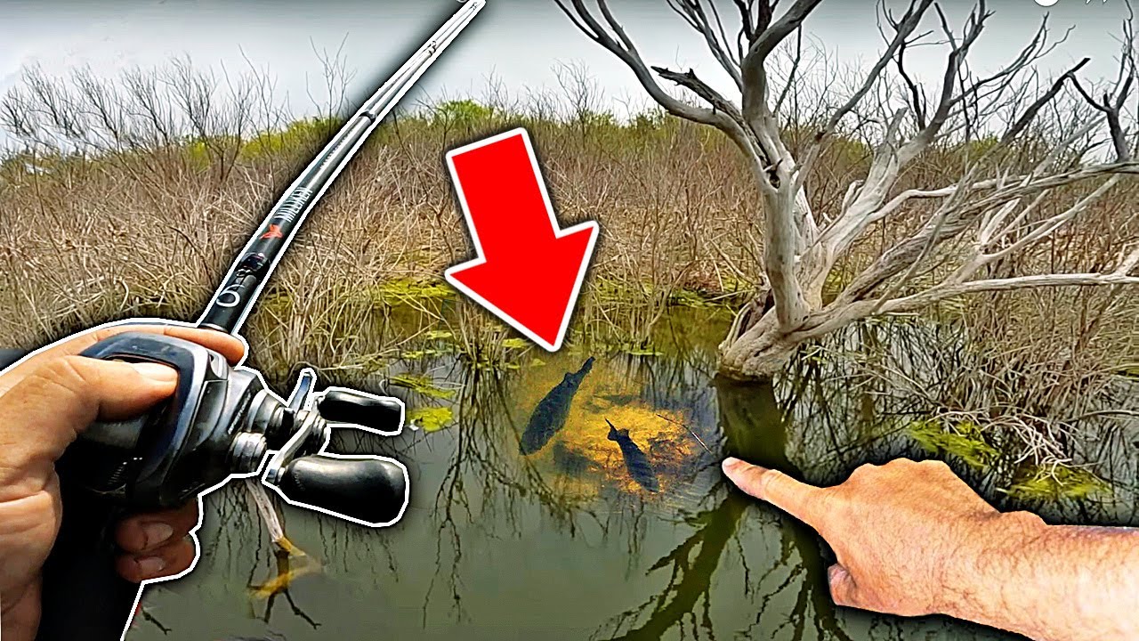Never seen this in thirty plus years of fishing
