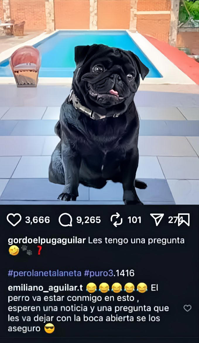 Cronología del pleito entre Emiliano, el hijo mayor de Pepe Aguilar, y la dinastía (incluido Nodal y el perro 'Gordo')