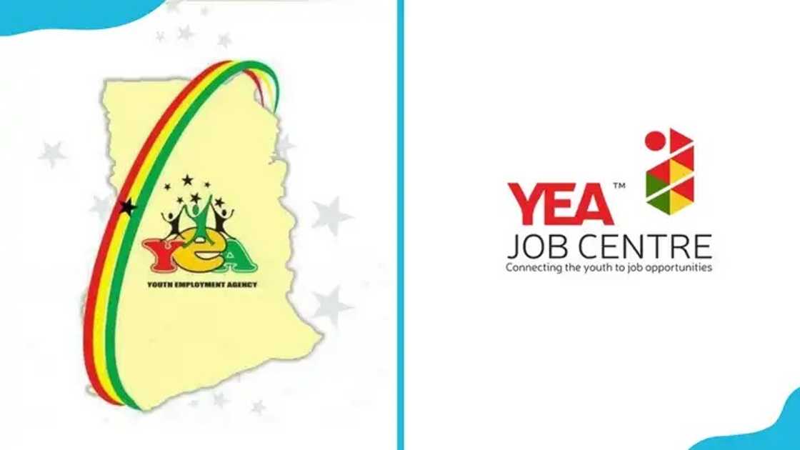 Perempuan di YEA Work Abroad mengagumkan pewawancara setelah menjelaskan maksud sebenarnya nya