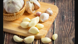 Dr Zaidul Akbar Bagikan Ramuan Herbal untuk Pasutri Tingkatkan Kesuburan