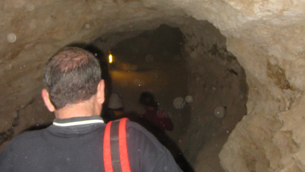 Image Credit: Deror avi - CC BY-SA 3.0/Wiki Commons