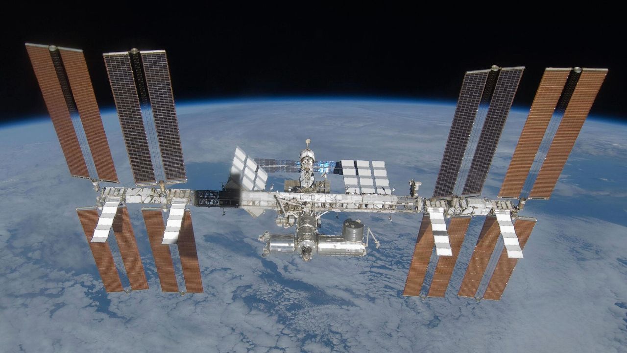Crew of tiny worms readies for April 11 launch to International Space Station