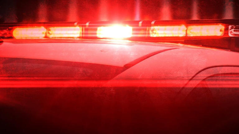 Suspect arrested after man was found shot to death inside vehicle in McComb