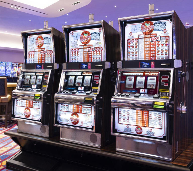 Gambling addicts tend to hide their problems. But records show a ...