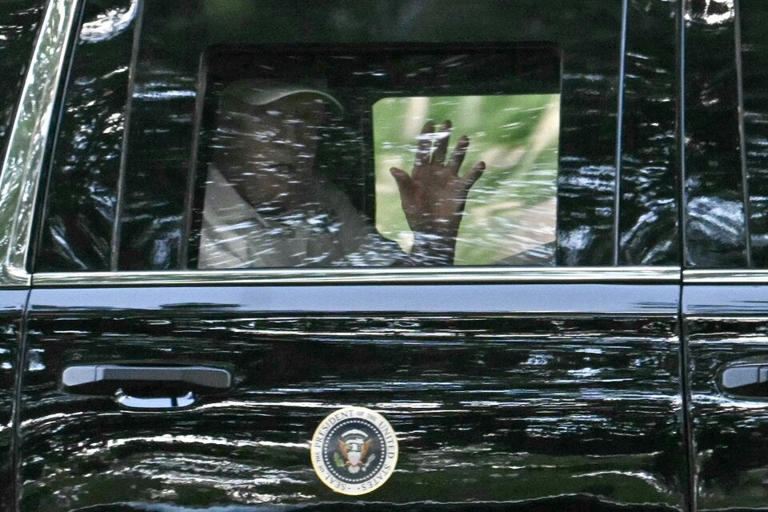 WAS DENKST DU BER DIE SPEKULATIONEN ZU TRUMPS visual data 4