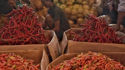Harga Cabai Kediri Melonjak Rp 3-5 Ribu Per Kilogram, Ini Penyebabnya