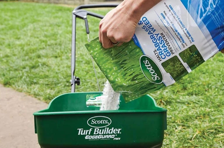 The best crabgrass killers of 2026, tested by experts