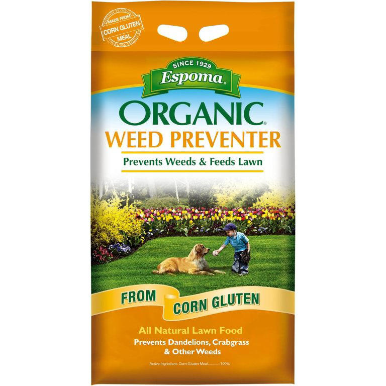 The best crabgrass killers of 2026, tested by experts