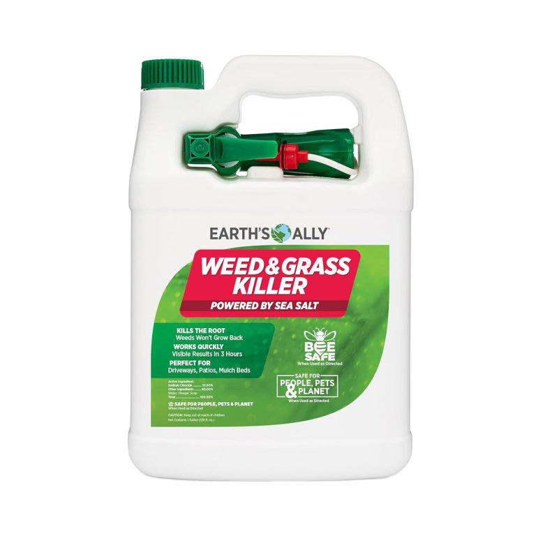 The best crabgrass killers of 2026, tested by experts