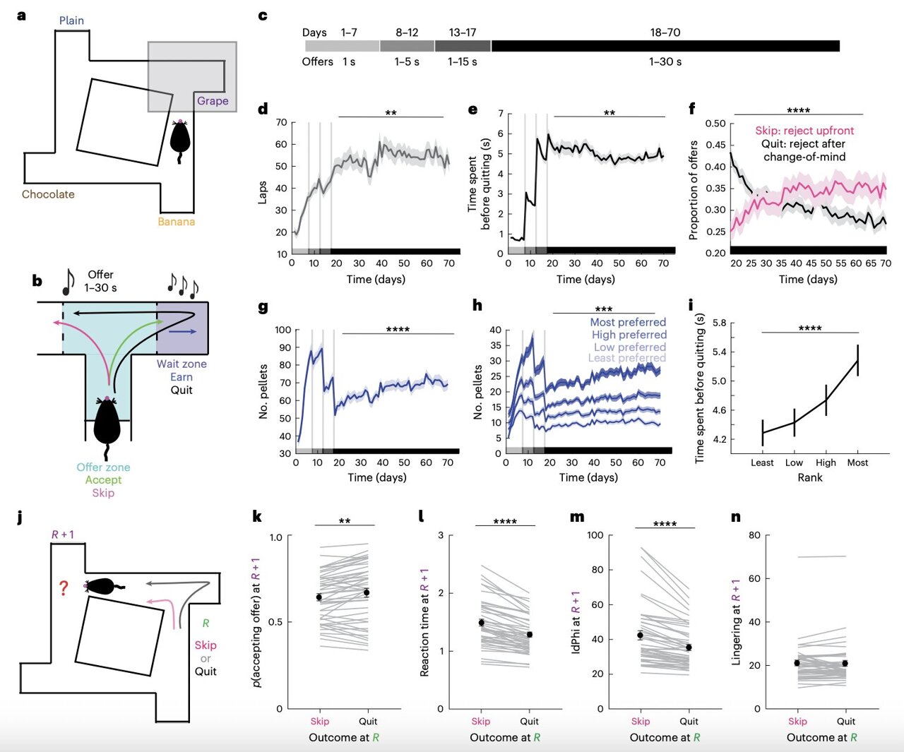 Dopamine Loops & The Slot Machine Effect: Regain Control