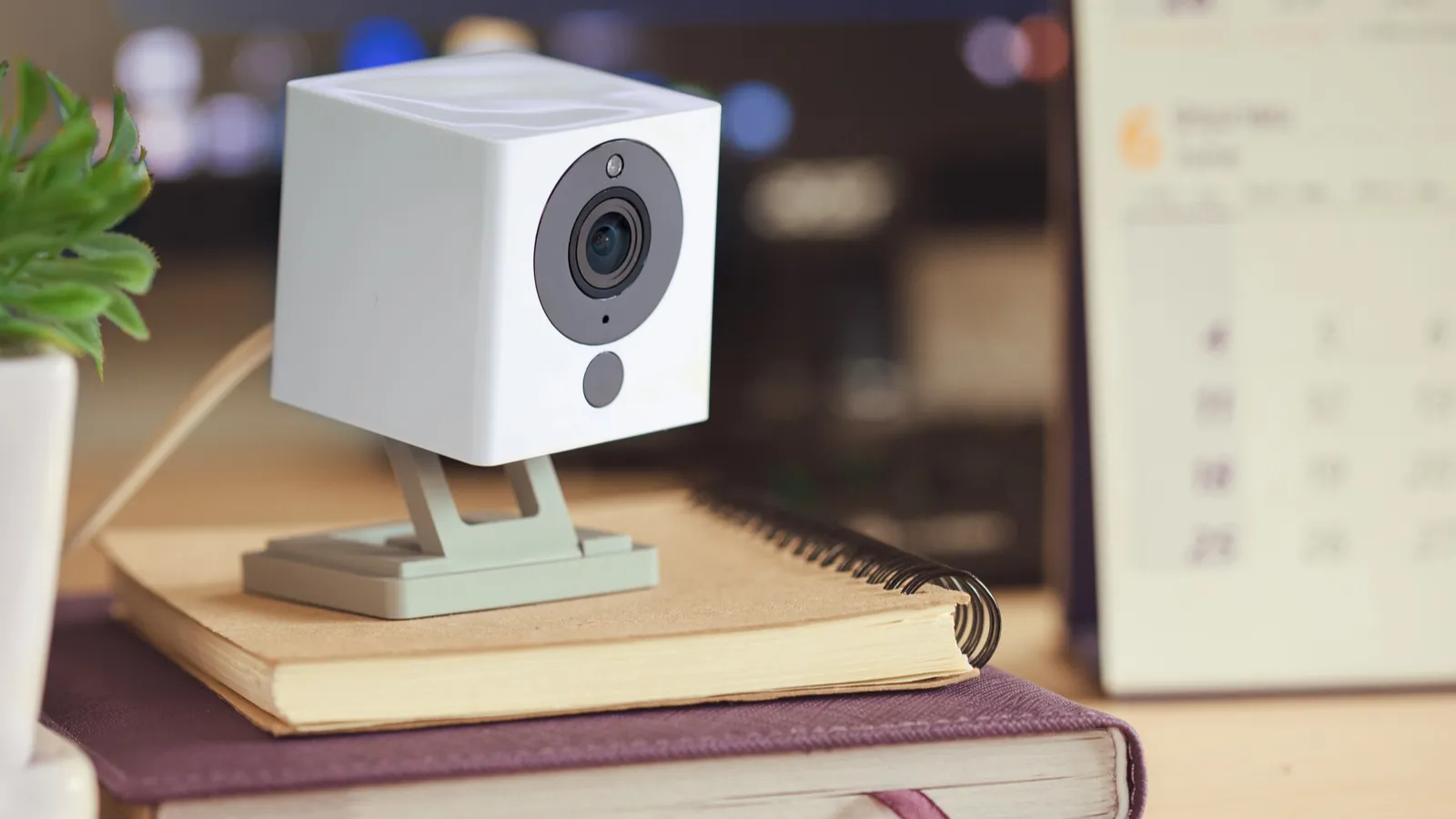 Why Wyze’s $40 indoor cam pan could change what homeowners expect from ...