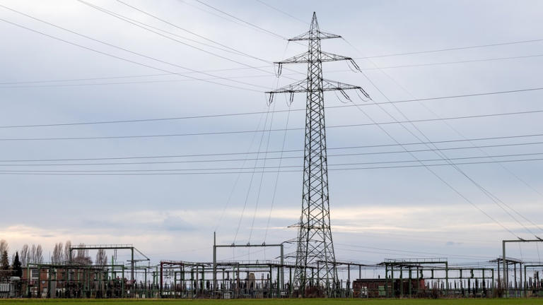 Viral 9-year-old performs with Project Pat on 901 Day