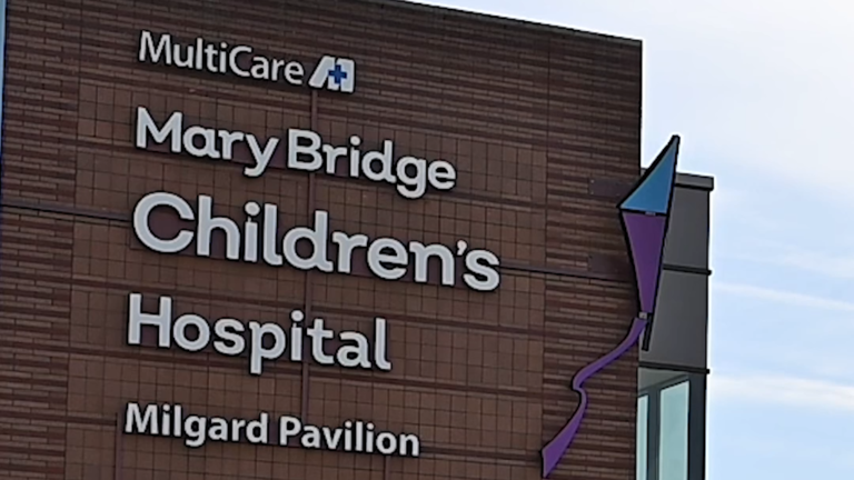 Search for a stock to start your analysis visual data 5