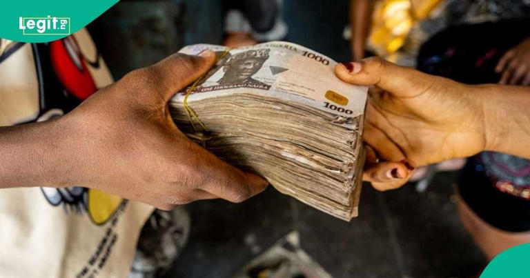 Find out how to apply as BOI launches portal for loan