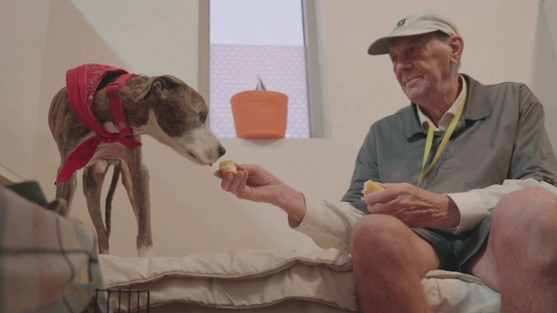 Seniors facing growing homelessness crisis