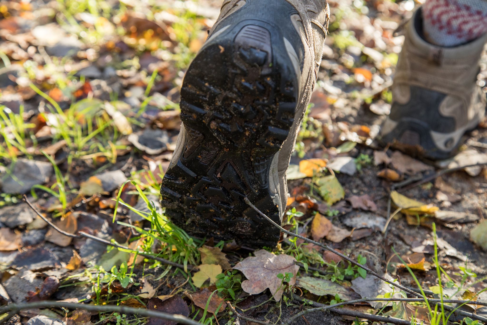 Hundekot Entfernen Schuhe
