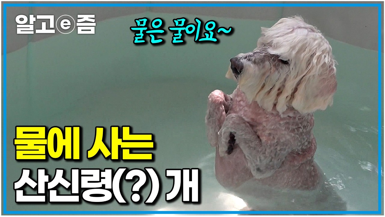 Sisters Swap Lives In 24 Hour Family Challenge