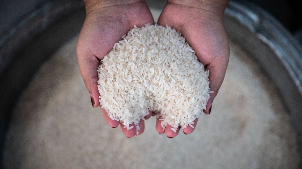 4 Rekomendasi Skincare Beras untuk Kulit Cerah dan Lembap