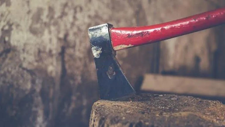 Love triangle turns deadly: Axe murder suspect arrested while fleeing to Zimbabwe