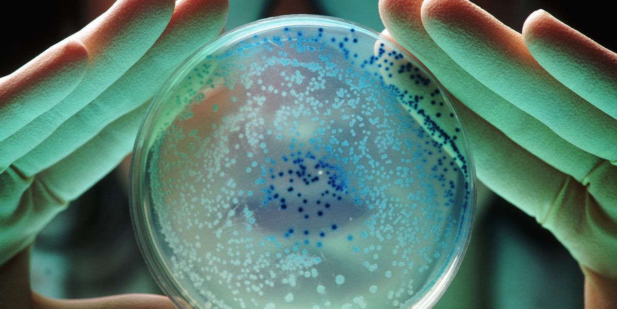Experts Built a New Lifeform With 57 Instructions