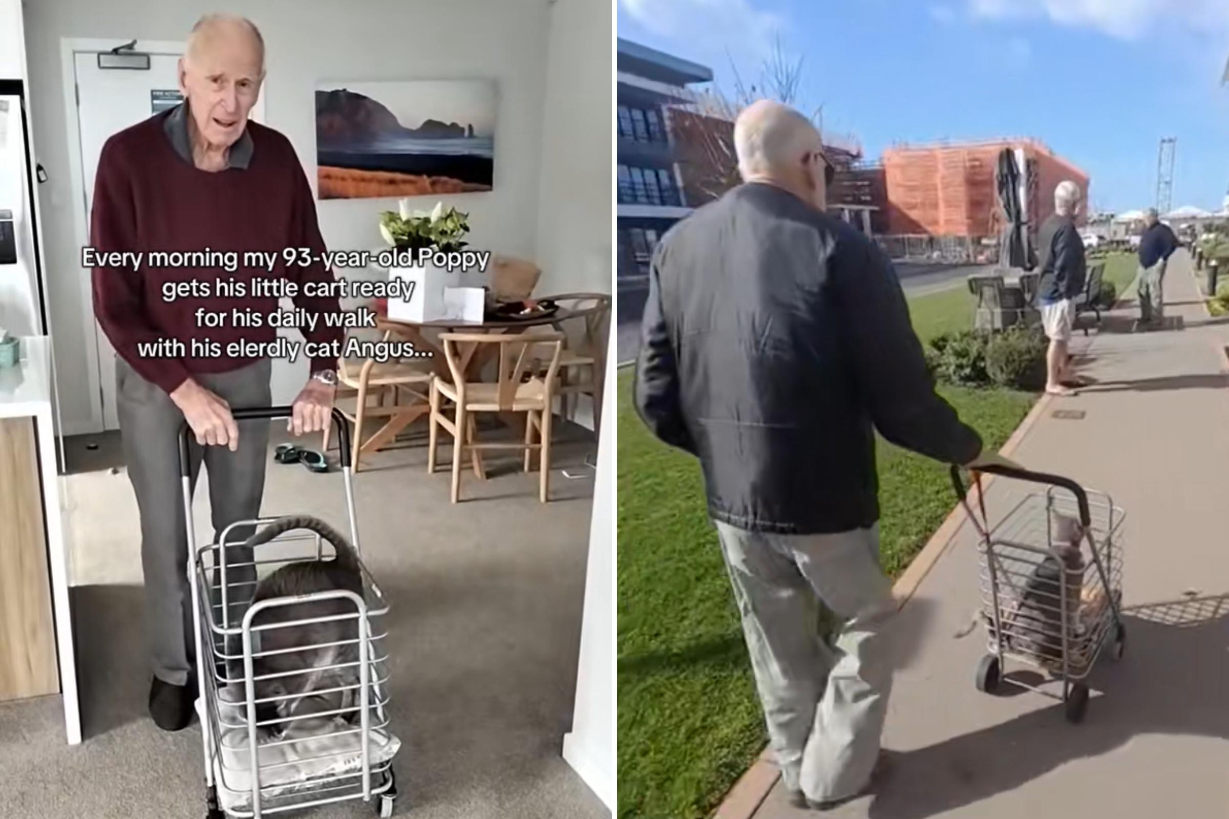 Hearts melt over 93-year-old widower taking out senior cat for daily walk