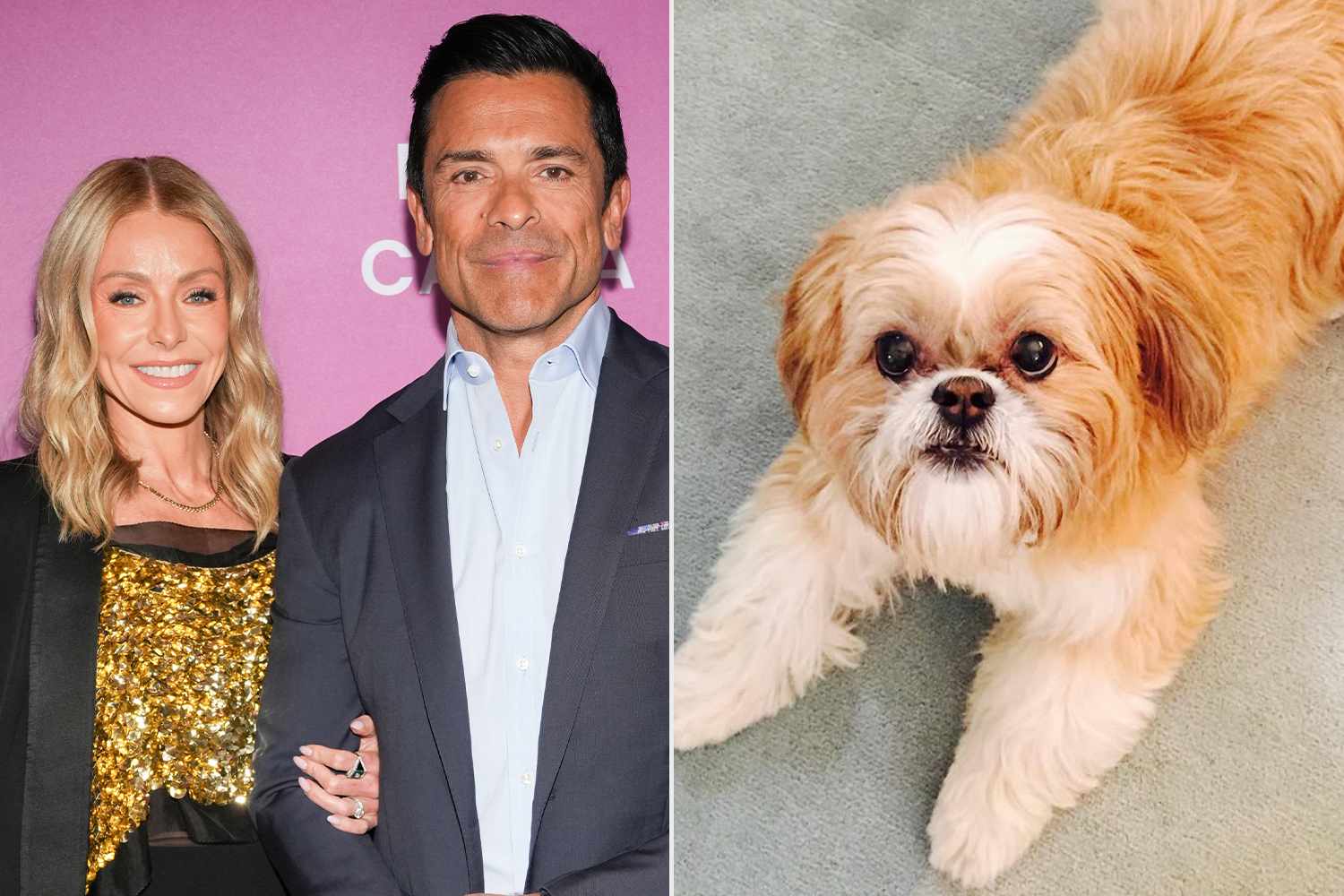 Adela Loconte/Variety via Getty; Kelly Ripa/Instagram Kelly Ripa and Mark Consuelos; Kelly Ripa and Mark Consuelos' late dog, Chewie