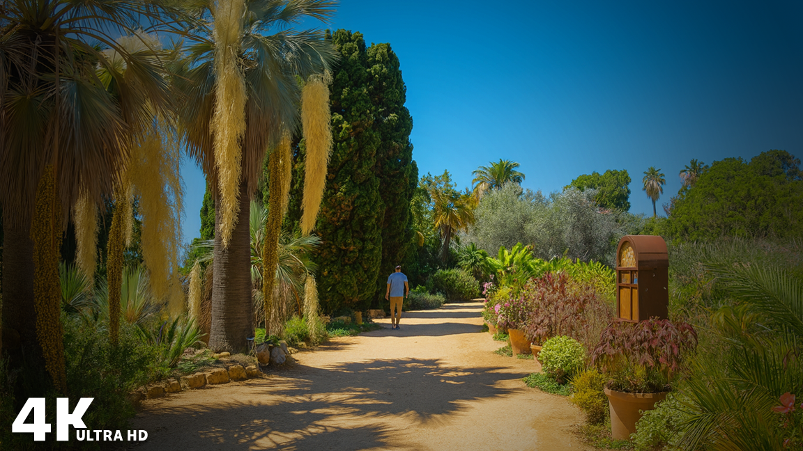 Spain Walking Tour At Marimurtra Botanical Garden Blanes 4K 