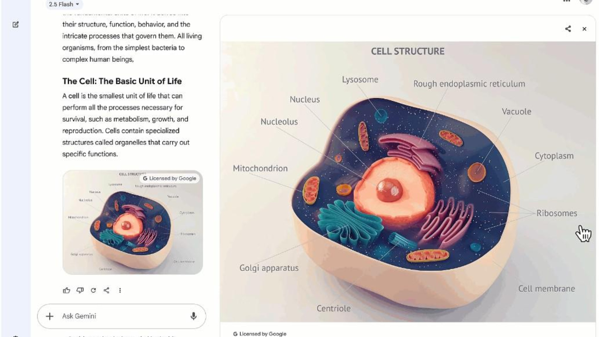 Google per la scuola ecco gemini guided learning l intelligenza