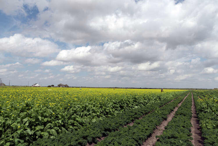 For drought-ravaged South Texas there's a $400M surge of hope
