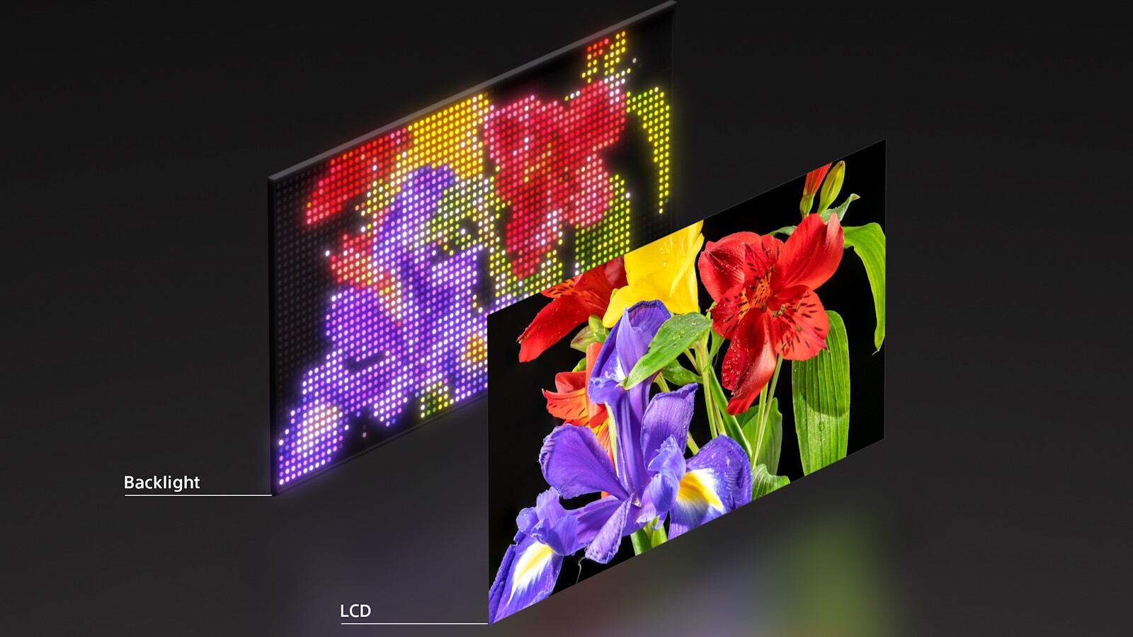 Das RGB Mini-LED Backlight (links) gibt grob das Bild vor, das LCD davor sorgt für die Feinauflösung.