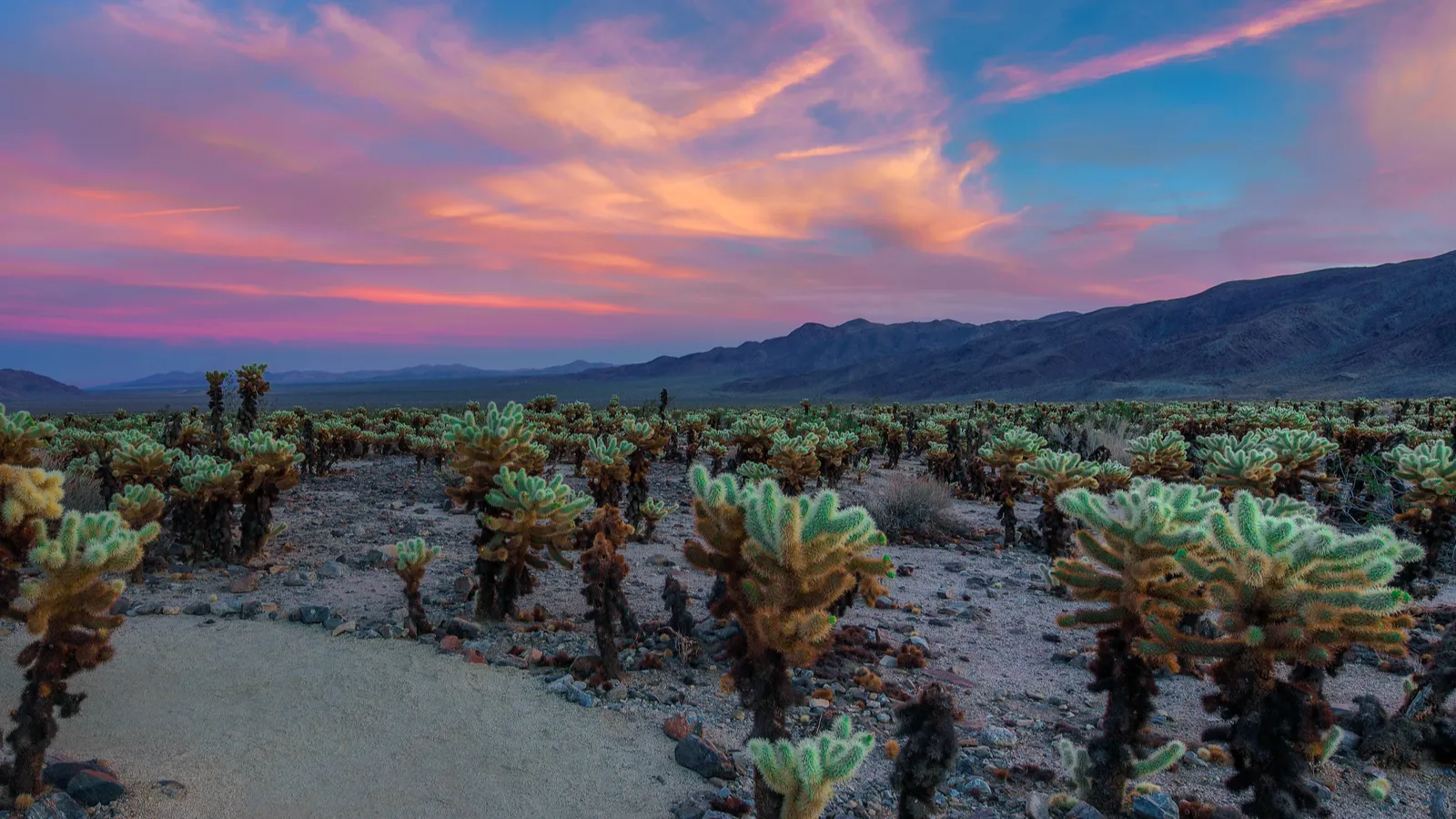Locals reveal the hidden secrets of California’s most haunted desert