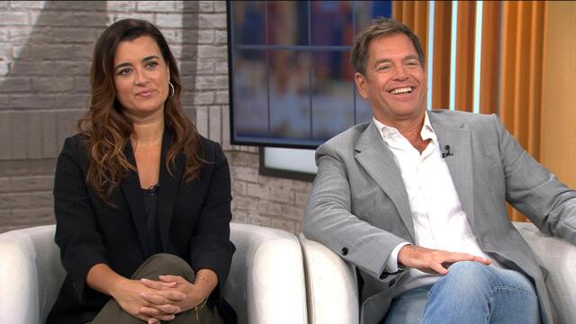 Cote De Pablo And Michael Weatherly Reprise Beloved Roles For Ncis